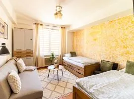 Modern Studio Apartment in City Center Usti nad Labem