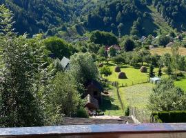 Pensiunea Brian, hotel Alsómoécsen