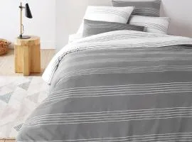 Paisible-wifi-stationnement-Le Grizou