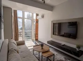 Luxury City Square Apartments & Premium Lakeview