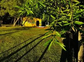 Quinta Pamonte