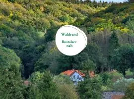 Ferienwohnung Schwarzhof- Hahnekräh am Bostalsee- ruhig am Waldrand, Hunde willkommen