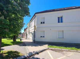 Apartments with hot tub Daruvar, Bjelovarska - 23657, hotel v destinácii Daruvar