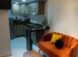 Urban Loft Hotel Federalismo