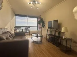 Vista maravillosa de Iquique