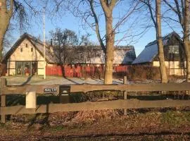 Nice Home In Borrby With Sauna