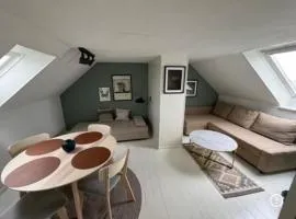 Small, cozy penthouse with free parking