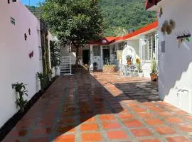 Cozy house near downtown