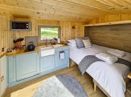Twitchill Farm Shepherds Hut - Ukc9264