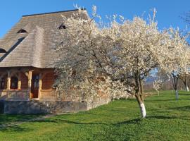 Pensiunea Agroturistica Casa Pribegilor – hotel w mieście Breb