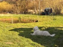 Kuschliger Schäferwagen auf Wiese autark