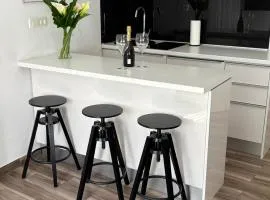Studio Apartman Fictilis