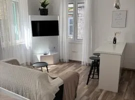 Studio Apartman Fictilis