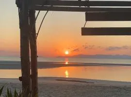 Beach and Beeyond Resort