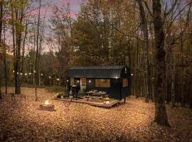 Off-Grid Tiny Cabin Retreat with Fire Pit & Forest Views in Bovina, New York