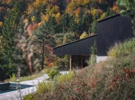 Villa with a pool near a forest, just 20 minutes from downtown Ljubljana