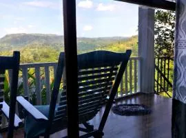 Rainforest Nature House