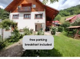 Pensiunea Piatra Mandrutului