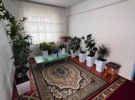 Nuraaly Guest House