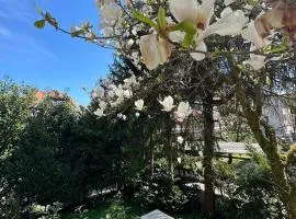 Blossoming Hidden Nest with Garden