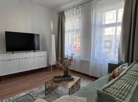 Apartment 45 - Neue Moderne 2 Zimmer-Wohnung 45 qm nahe Zentrum und Bahnhof mit Küche, WLAN und Komfort