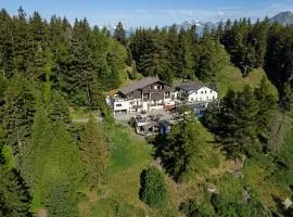 Waldhotel Fletschhorn Private Whole Hotel in Saas-Fee 360 Alpine Views & Sauna