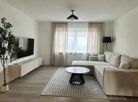 Teratop-Living, großzügige 3-Zimmer Wohnung, Zentrale Lage, Arbeitsplatz, Geschäftsreisen, kurze und lange Aufenthalte