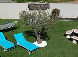 Maison traditionnelle Tarn 10 couchages, campagne cascade 30 min Sidobre 45min Albi