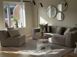 Modern and stylish home