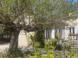 L'appart Thé - Charme apaisant au coeur des Alpilles