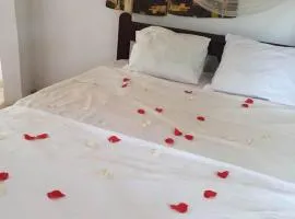 Sita joyeh island resort