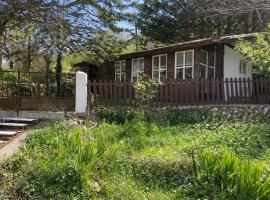 The Chalet de Vielha, hotel 