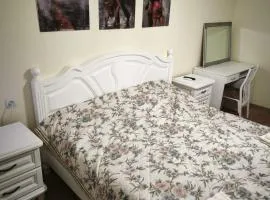 Feel Classic NEW apartment2 near park&lake Rascani