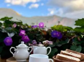 Casa Jazmín Hospedaje Familiar Eco Amigable - Huayoccari, Sacred Valley