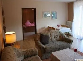 Haus Schneider, große Ferienwohnung