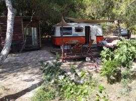 Roulotte Vintage con accesso spiaggia