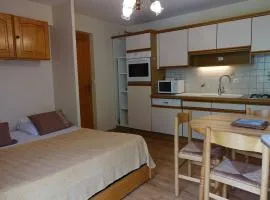 Appartement cosy 4 pers, skis aux pieds, balcon, parking, 2 étoiles - Location dim. à dim. en hiver - FR-1-342-191