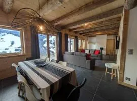Chalet lumineux à Arêches-Beaufort avec terrasse et cuisine équipée - FR-1-342-332