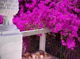 Le Dimore in Piazzetta