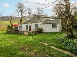 Llwyn Y Brig Isaf