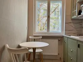 Viktoria Apartment