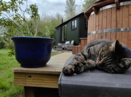 Bell Nook- Shepherd's hut with a spacious wood-fired hot tub, hotel i Tonbridge