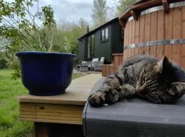 Bell Nook- Shepherd's hut with a spacious wood-fired hot tub