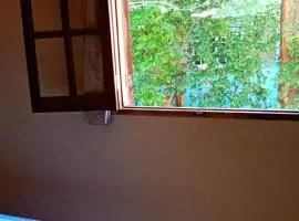 Aloe