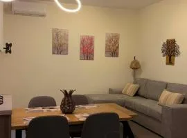 ZoYa ‘s Apartments