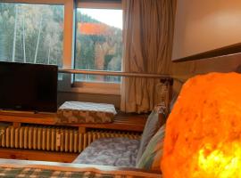 La finestra sul bosco, hotel u Marillevi