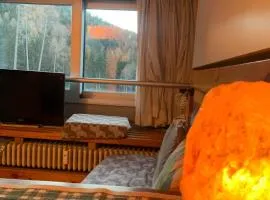 La finestra sul bosco