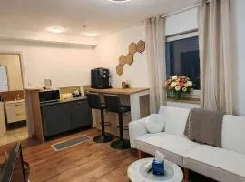 Basel Access Apart - Habsheim