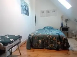 CHEZ ISA chambre chez l'habitant Antoine