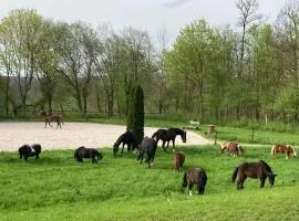 Ferienwohnung Pferdehof Rheintal bei Koblenz